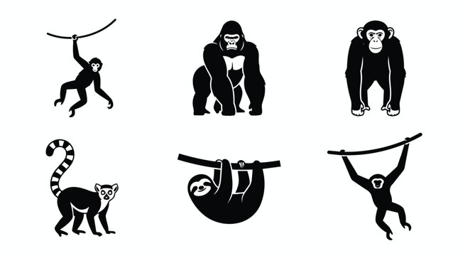 Flat Illustration Set of Five Different Monkeys in Black and White