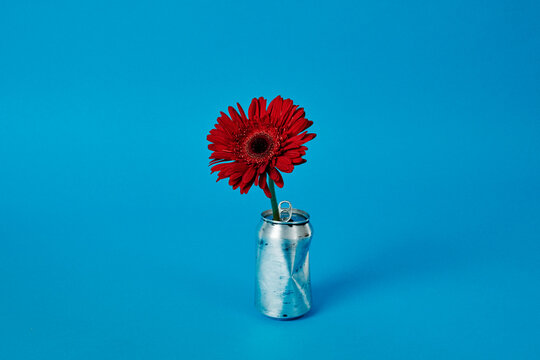 a crushed sanded aluminum can serves as an upcycled vase