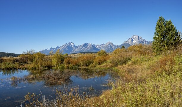 Mountain panorama with Mount Moran and Grand Teton, small lake in autumnal landscape, yellow coloured aspens (Populus tremula) and bushes, Teton Range mountain range, Grand Teton National Park, Wyoming, USA