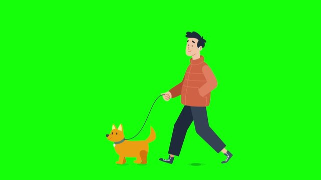 Man Walking Dog Flat Vector Animation Loop on Green Screen