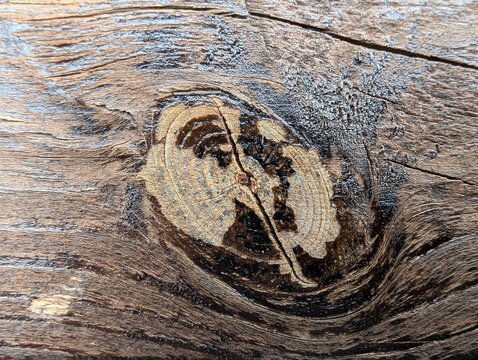 Intricate textures of a weathered wooden surface, featuring a deep