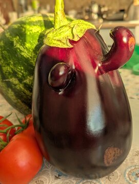 Oddly shaped purple eggplant standing on a rustic kitchen table next