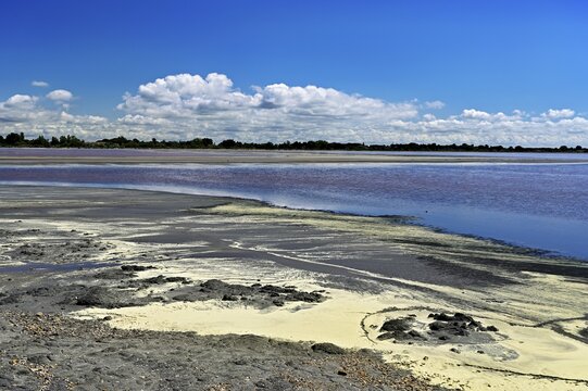 Salins du Midi salt marshes, Aigues-Mortes, Camargue, southern France, France