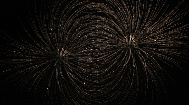 Iron Particles Revealing Invisible Magnetic Field Lines
