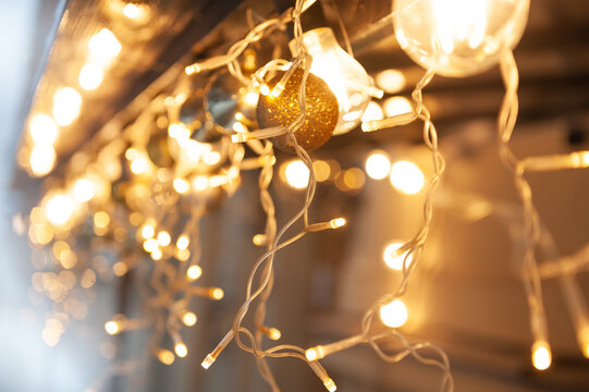 Festive lights create a warm holiday atmosphere