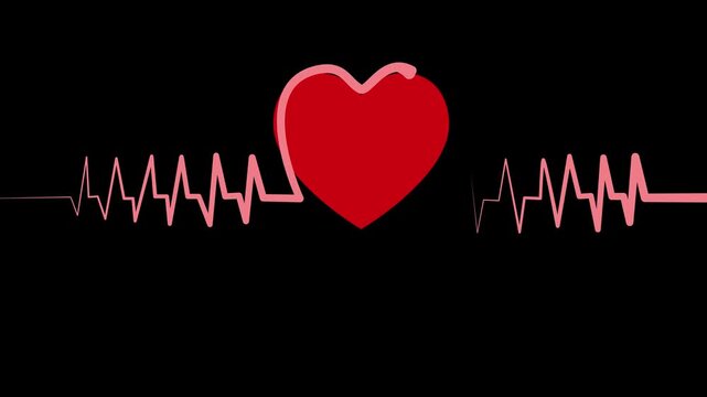 Heart with heartbeat line medical concept for healthcare heart health and pulse monitoring animation