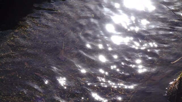 crystal water on fresh stream at vintage village in Shirakawago, Japan.