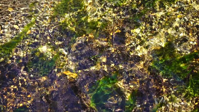 crystal water on fresh stream at vintage village in Shirakawago, Japan.