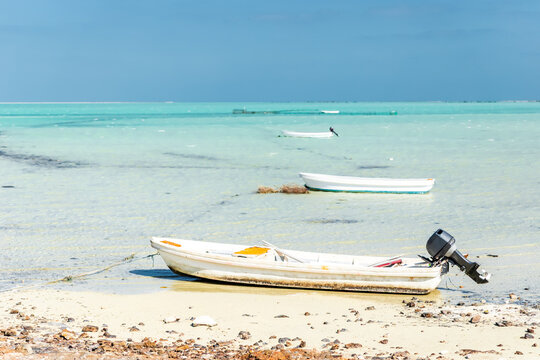 Fibreglass fishing boats anchored in the shallow turquoise sea by a sandy beach, Purple Island, Al Khor, Qatar