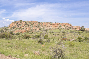 Rocky African Savanna Landscape with Green Grassland © Eliya