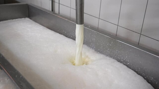 Fresh Milk Flowing into Stainless Steel Vat During Cheese Production