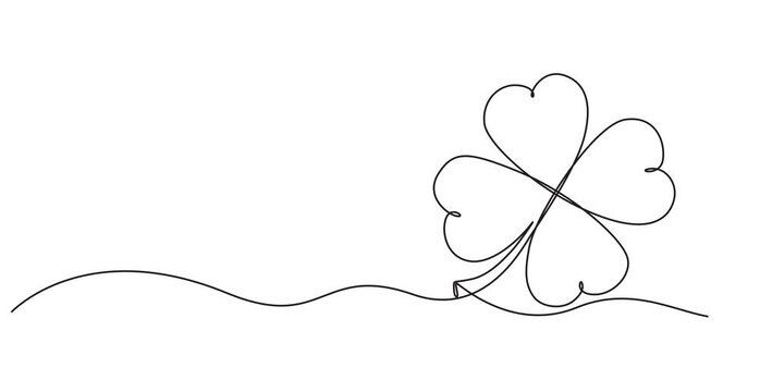 Continuous one line drawing of four leaf clovers sign icon single art three leaves clover on white background minimalist shamrock and sustainability symbol 4k animation video, pro design