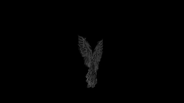 Angel Wings as Glass