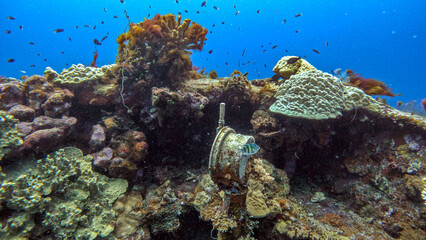 Ship's Telegraph Overgrown by Coral on a WWII Wreck © Kaitlind