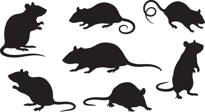 Set of black rat silhouettes in various poses including standing, crouching, and walking with long tails also transparent background