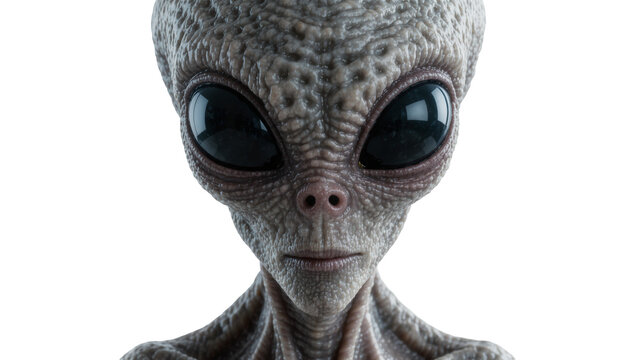 Detailed grey alien head with large black eyes, isolated on transparent background