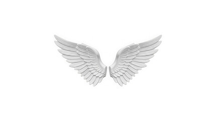 Obraz premium Pair of detailed white angel wings spread open