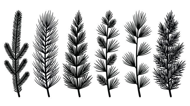 Black pine branch vector set, isolated on white background for graphic design