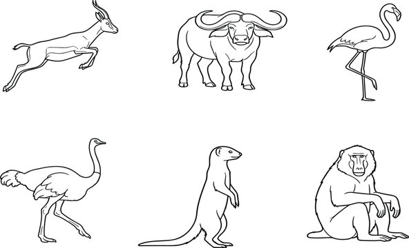 Black outline drawing set of African wildlife including gazelle, Cape buffalo, flamingo, ostrich, mongoose and baboon vector illustration