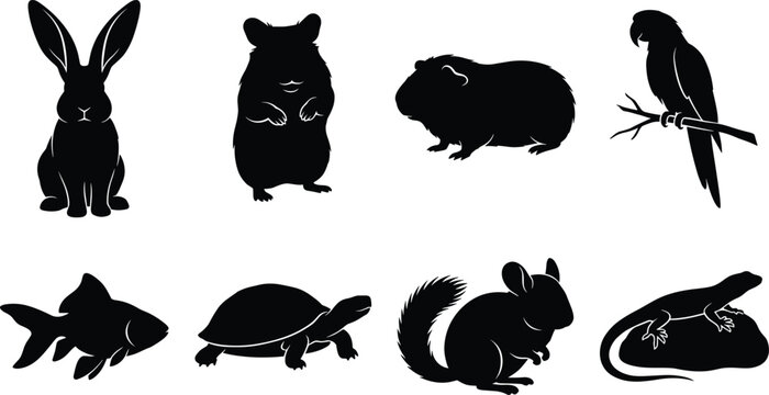 Black silhouette set of popular household pets including rabbit, hamster, guinea pig, parrot, goldfish, turtle, chinchilla and lizard vector illustration