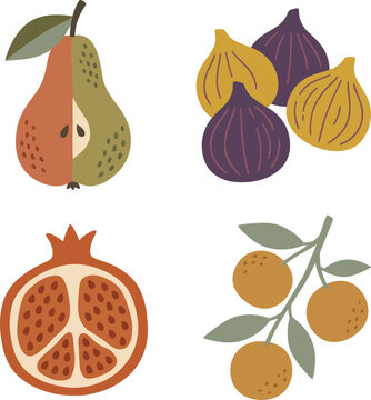 Set of hand drawn vector illustrations of various fruits including pear, figs, pomegranate and oranges
