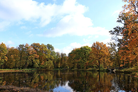Autumn park in Russia in September,Lake surrounded by red and yellow foliage, with its reflection in the water on sunny day. picturesque autumn park landscape,vibrant autumn banner,