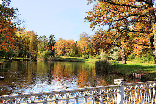 Lake surrounded by red and yellow foliage, with its reflection in the water on sunny day. Autumn park in Russia in September, picturesque autumn park landscape,vibrant autumn banner