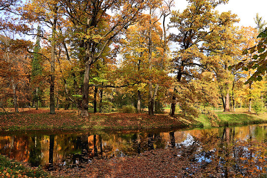 Autumn park in Russia in September,Lake surrounded by red and yellow foliage, with its reflection in the water on sunny day. picturesque autumn park landscape,vibrant autumn banner,