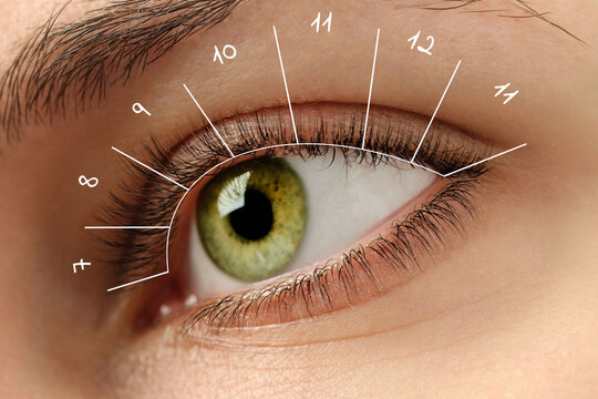 Woman with lash mapping, closeup. Eyelash extensions