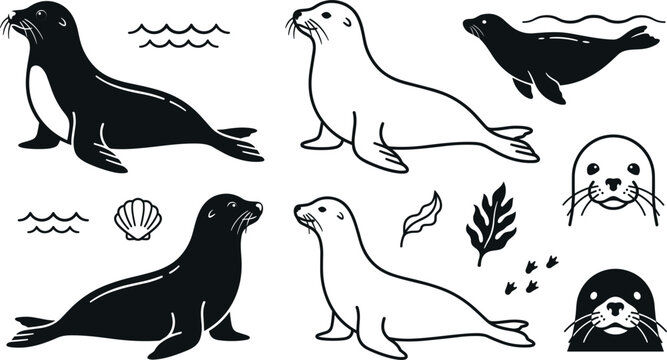Sea Lion and Seal Silhouette Vector Icon Set with Swimming Poses Water Waves Seashells Seaweed and Paw Tracks for Marine Wildlife Designs