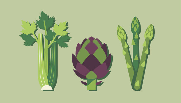 Flat illustration of green celery stalks, a purple artichoke, and several green asparagus spears arranged on a light green background.