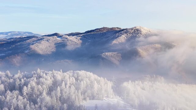 Aerial view of a forest covered with frost on the mountain slopes