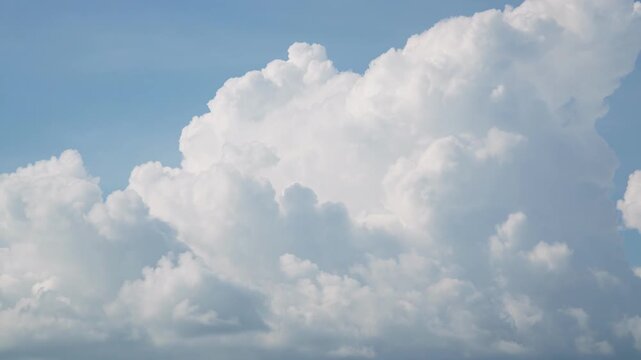 Time lapse of towering cumulus clouds billowing and spreading across a blue sky until they cover most of it, a large white cloudscape