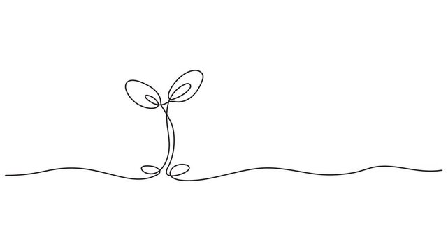 Growing line art animation of a small plant sprout with leaves representing ecology, nature, and new life conc