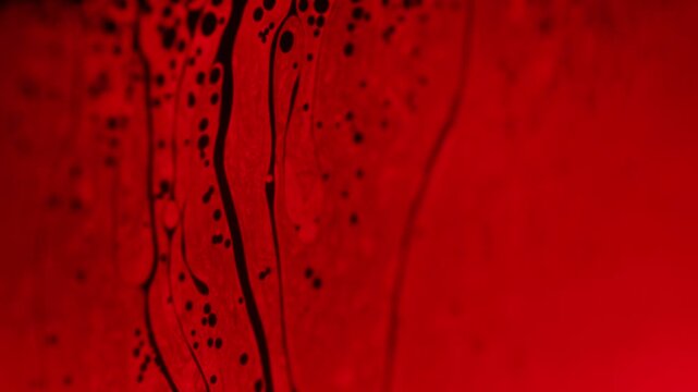 Deep crimson liquid film with vertical convection plumes and dark spot network. A low-key macro photograph capturing a liquid film glowing in deep crimson red and ruby tones