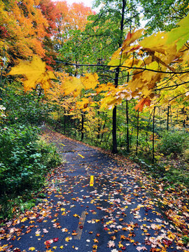 Sentier dans la for&ecirc;t en automne. Paysage automnal. Magnifique d&eacute;cor naturel. Sentier dans la for&ecirc;t en automne. Paysage automnal. Arbres aux feuilles jaunes. Qu&eacute;bec, Canada.