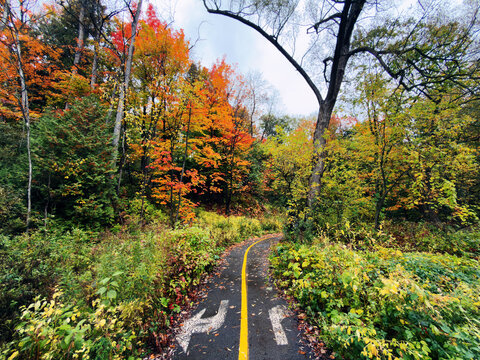 Un sentier dans la for&ecirc;t en automne, Qu&eacute;bec, Canada