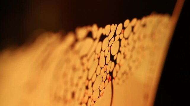 Golden liquid film with reticular foam cellular network and sharp Plateau border edge. A low-key macro photograph capturing a warm golden liquid film membrane featuring a dense reticular foam network