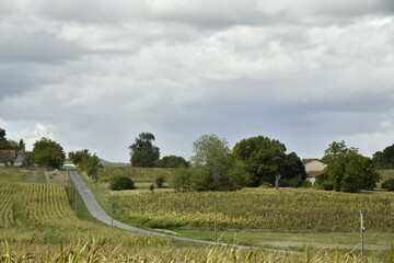 Route secondaire de campagne avant l'arrivée d'un orage près du bourg de Champagne au Périgord Vert (Dordogne-France) © Photocolorsteph