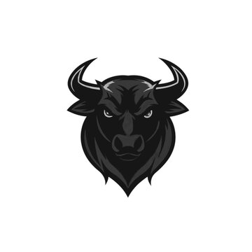 bull on white background