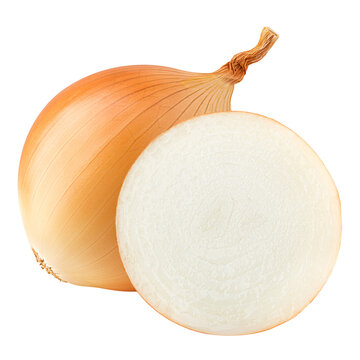 Onion, isolated, full depth of field