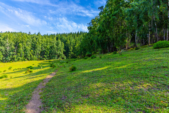 Narrow dirt path winds through a green grassy slope towards a dense forest of deciduous and coniferous trees. Blue sky with wispy clouds and sunlight creates a serene daytime atmosphere.