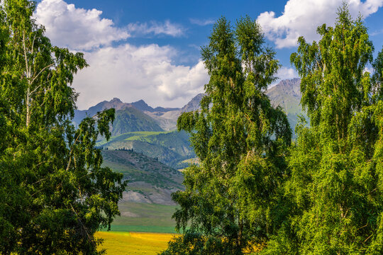 Natural landscape features tall trees framing a view of rolling hills and distant mountains. A yellow field is visible in the middle ground under a blue sky with white clouds.