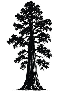 general sherman tree silhouette
