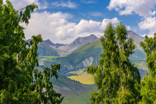 Wide view of a mountainous landscape featuring tall, leafy green trees in the foreground. Rolling hills and steep rocky peaks are visible under a blue sky with scattered clouds.