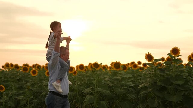 Father and daughter in sunflower field at sunset, happy family in summer, dad carrying child on shoulders, sunny day in nature, enjoying time together outdoors, bonding in the countryside, beautiful
