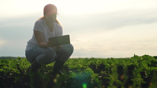 Agriculture, Future fields, Woman with tech, Agronomist checks plants, Sunrise and innovation, Smart analysis on farm, Rural tech enhancement, Tablet for sustainable farming, Nature-care by technology