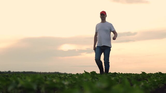 Agriculture, Farmer using tablet in field, Modern agriculture technology, Digital farming at sunset, Crop monitoring with device, Farming in the digital age, Smart farm management, Agriculture