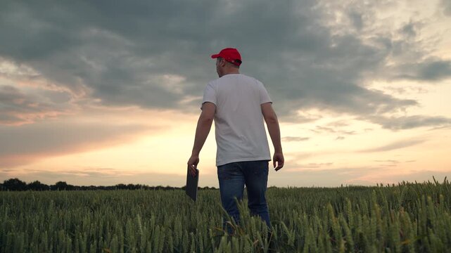 Agriculture, Man among the wheat, Rural technology experiment, Farmer s sunset commute, Digitally-connected agriculture, Harvest season preview, Sky painted in gold and grey, Evening chores in field