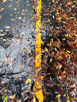 Marquage de ligne jaune sur une route goudronn&eacute;e avec une flaque d'eau de pluie en automne